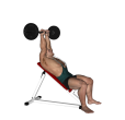 Triceps Extension - Incline EZ Bar